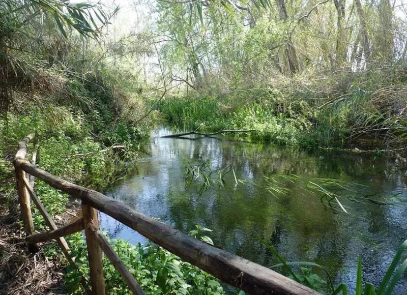 Apartament Yellow House Fiumefreddo di Sicilia Zewnętrze zdjęcie
